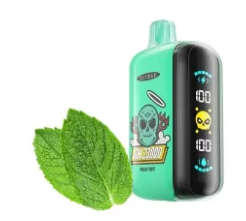 Elf Bar GH 23000 Polar Mint